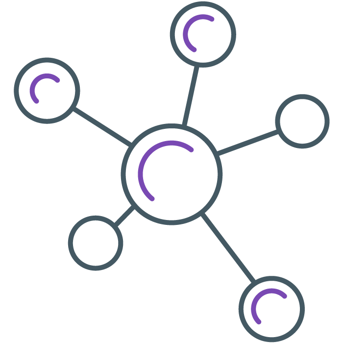 Project Complexity