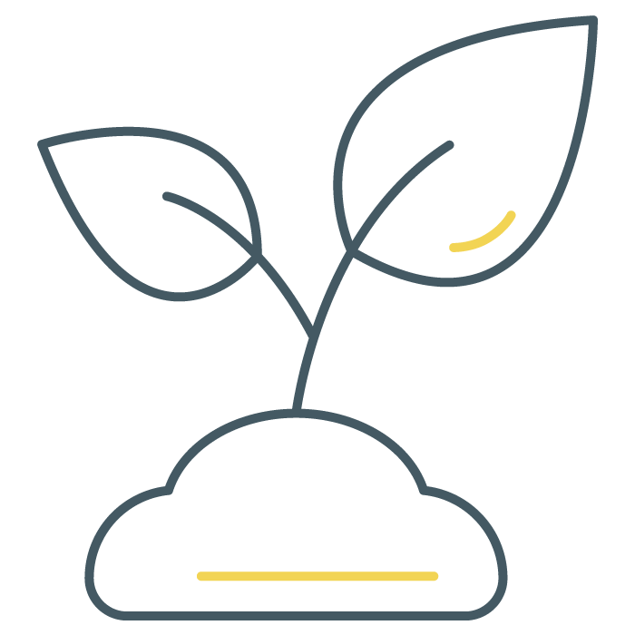 Sustainability and environmental concerns