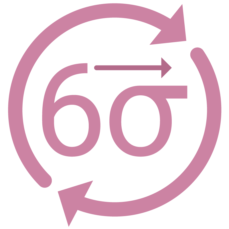 Lean and Six Sigma