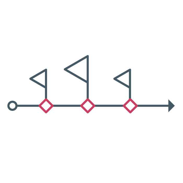 Define project milestones