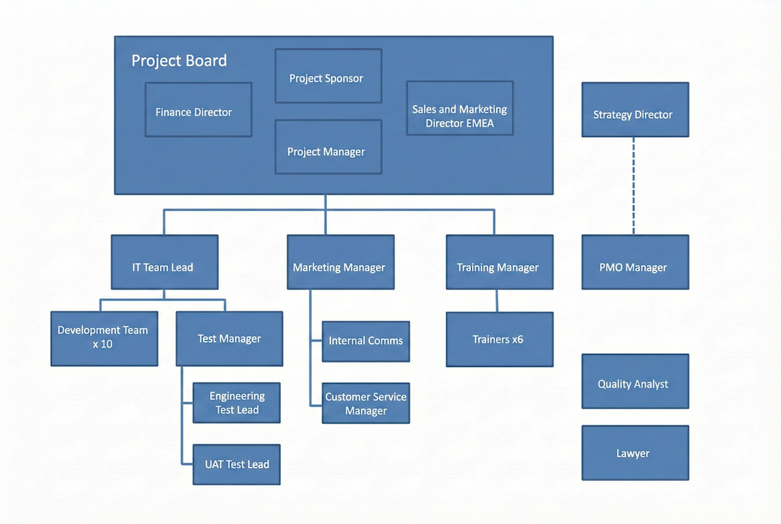 Complex project organization chart illustrating matrix management structures