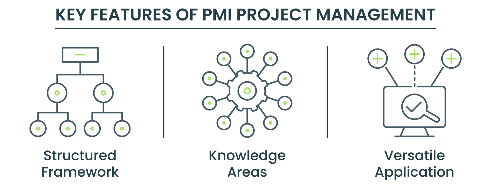 Key features of PMI project management