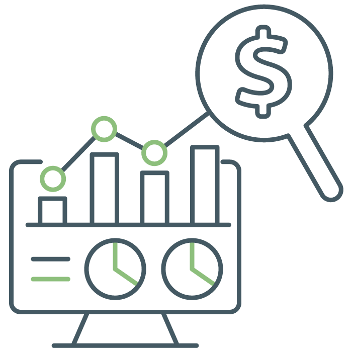 Portfolio budget analytics