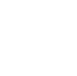 Schott AG overview