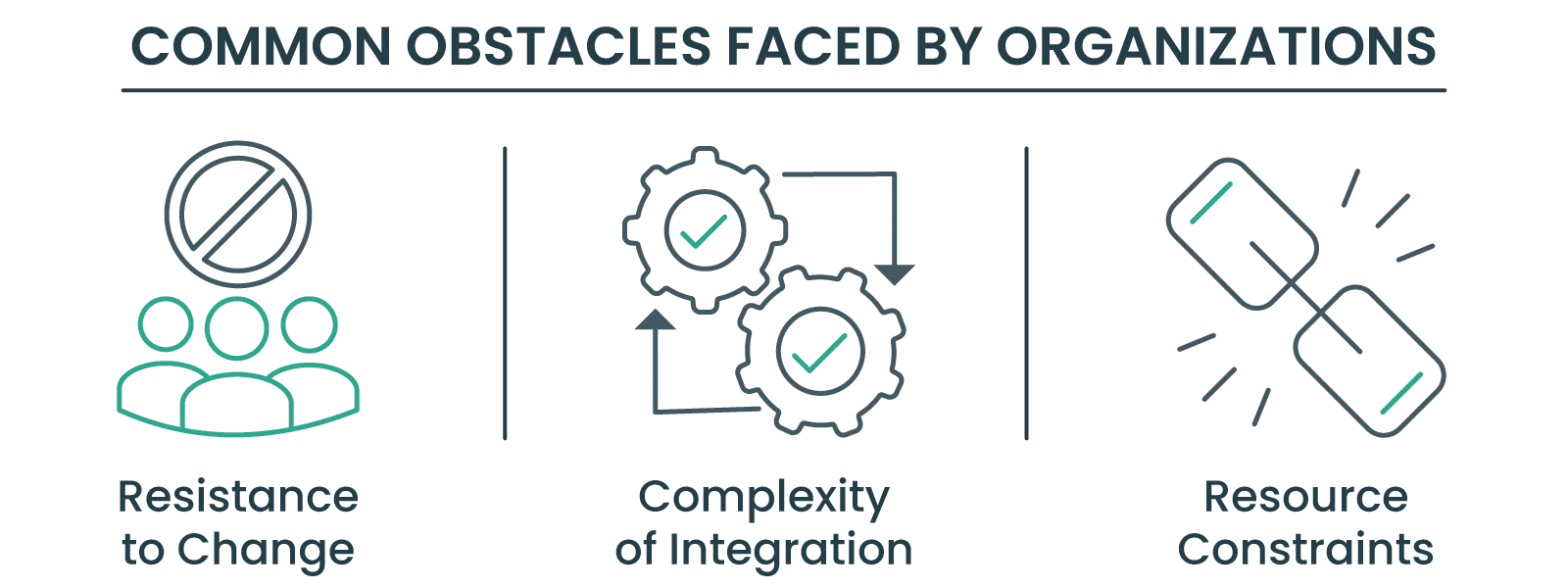 Common Obstacles Faced by Organizations