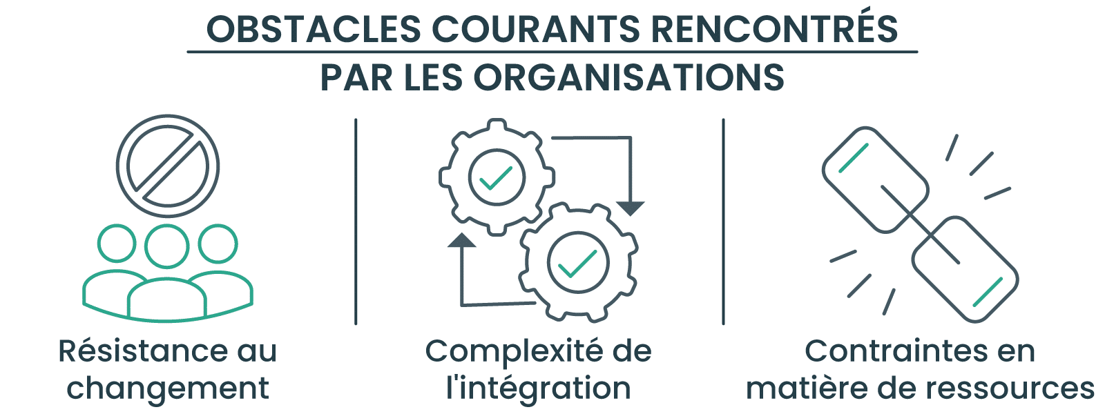 Obstacles courants rencontrés par les organisations