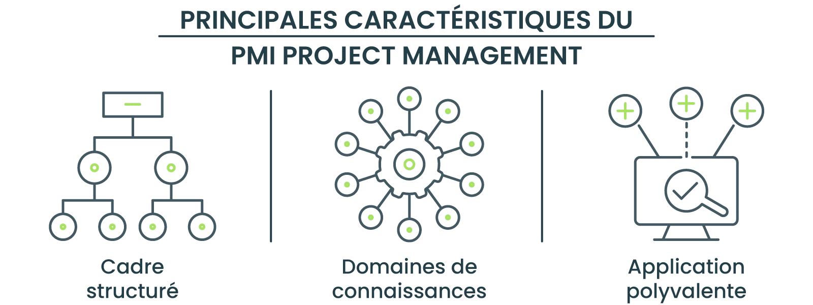 PRINCIPALES CARACTÉRISTIQUES DU PMI PROJECT MANAGEMENT 