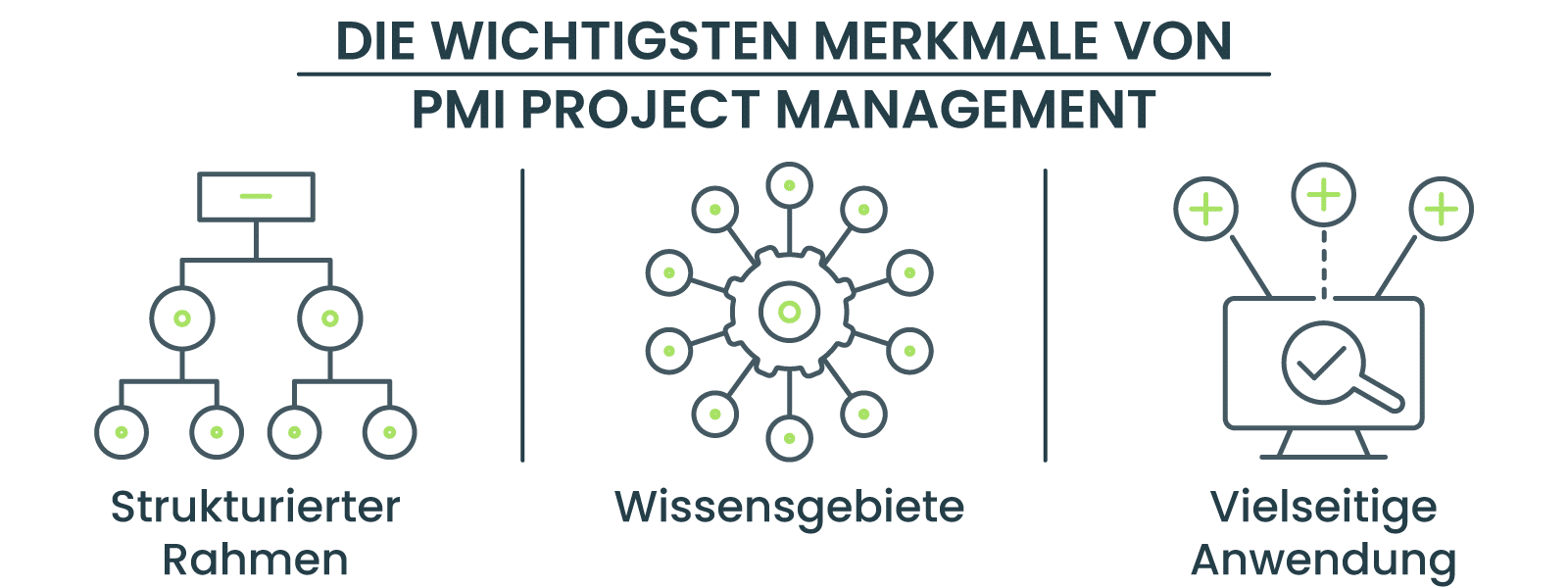 DIE WICHTIGSTEN MERKMALE VON PMI PROJECT MANAGEMENT